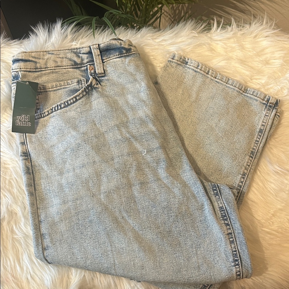NWT wild fable Women's Distressed Jeans